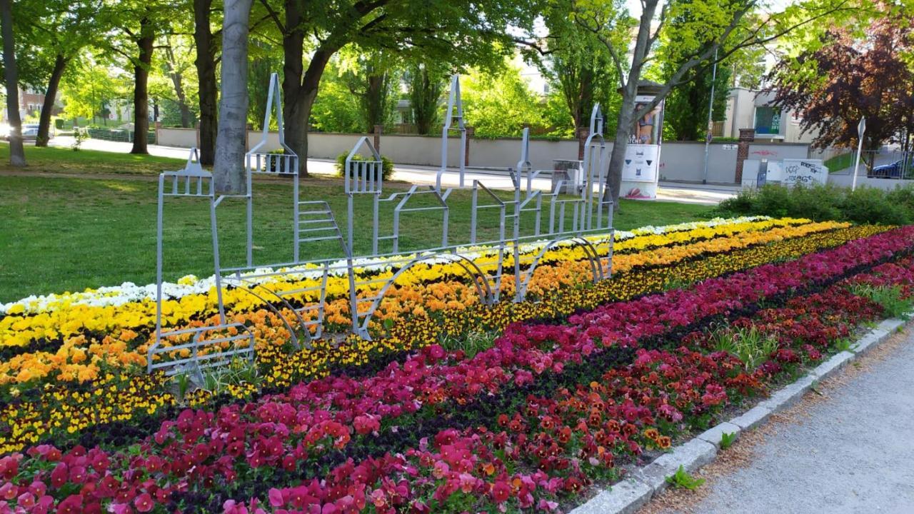Alte Baeckerei Bautzen - 00 #Kids# Im Zentrum, Mit Parkplatz, Top Ausgestattet 外观 照片